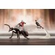 ARTFX+ MARVEL UNIVERSE Astonishing Ant Man & Wasp 1/10 Kotobukiya