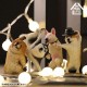 ANIMAL LIFE Dancing Dog Box of 8 Yendar