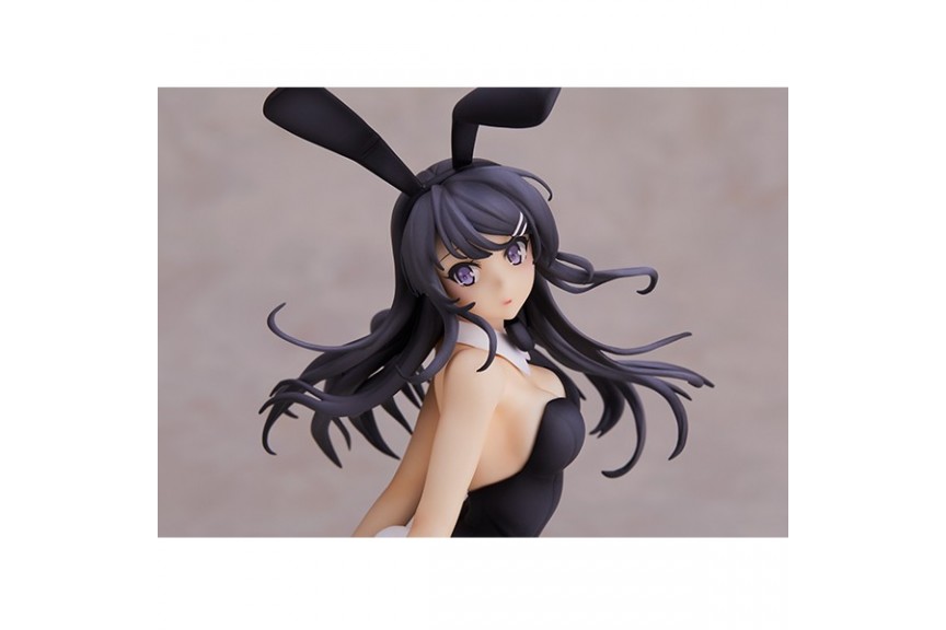 Anime DVD Seishun Buta Yarou wa Bunny Girl Senpai no Yume wo Minai