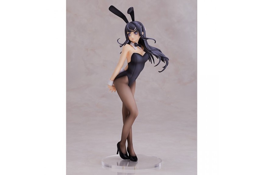 DokiDoki-R Anime Seishun Buta Yarou wa Bunny Girl Senpai no Yume wo Mi –  dokidokicosplay