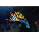Scuba Diving Crash Bandicoot 5.5 Inch Neca