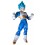 Super Saiyan God Vegeta Special Color Plastic Model Kit Dragon Ball Super BANDAI SPIRITS