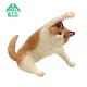 ANIMAL LIFE Yoga Cat BOX Of 8 Yendar