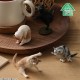 ANIMAL LIFE Yoga Cat BOX Of 8 Yendar