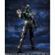 S.I.C Kamen Rider Birth Prototype