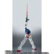 Robot Damashii (Side MS) RX-78-2 Gundam ver. A.N.I.M.E. (Final Battle Specifications) Bandai limited