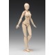 Movable Body Female Type (C Version) Plastic Model Kit 1/12 WAVE