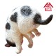 ANIMAL LIFE Baby Yoga Cat BOX Of 6 Yendar