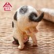 ANIMAL LIFE Baby Yoga Cat BOX Of 6 Yendar