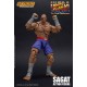 Ultra Street Fighter II Sagat The Final Challengers Storm Collectibles