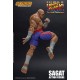 Ultra Street Fighter II Sagat The Final Challengers Storm Collectibles